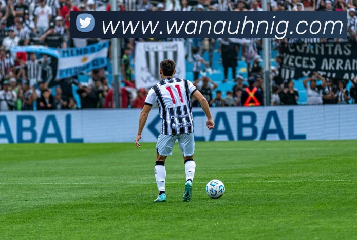 世界杯开户平台平台生态图